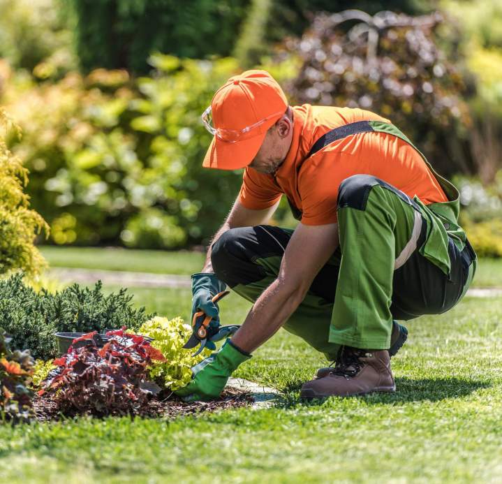 Entretien régulier ou ponctuel de vos jardins.